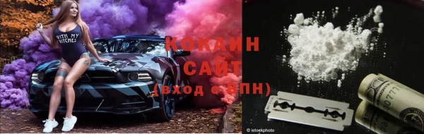 прущие грибы Богданович