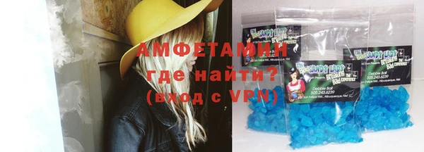 прущие грибы Богданович