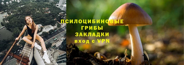 мяу мяу мука Богородицк